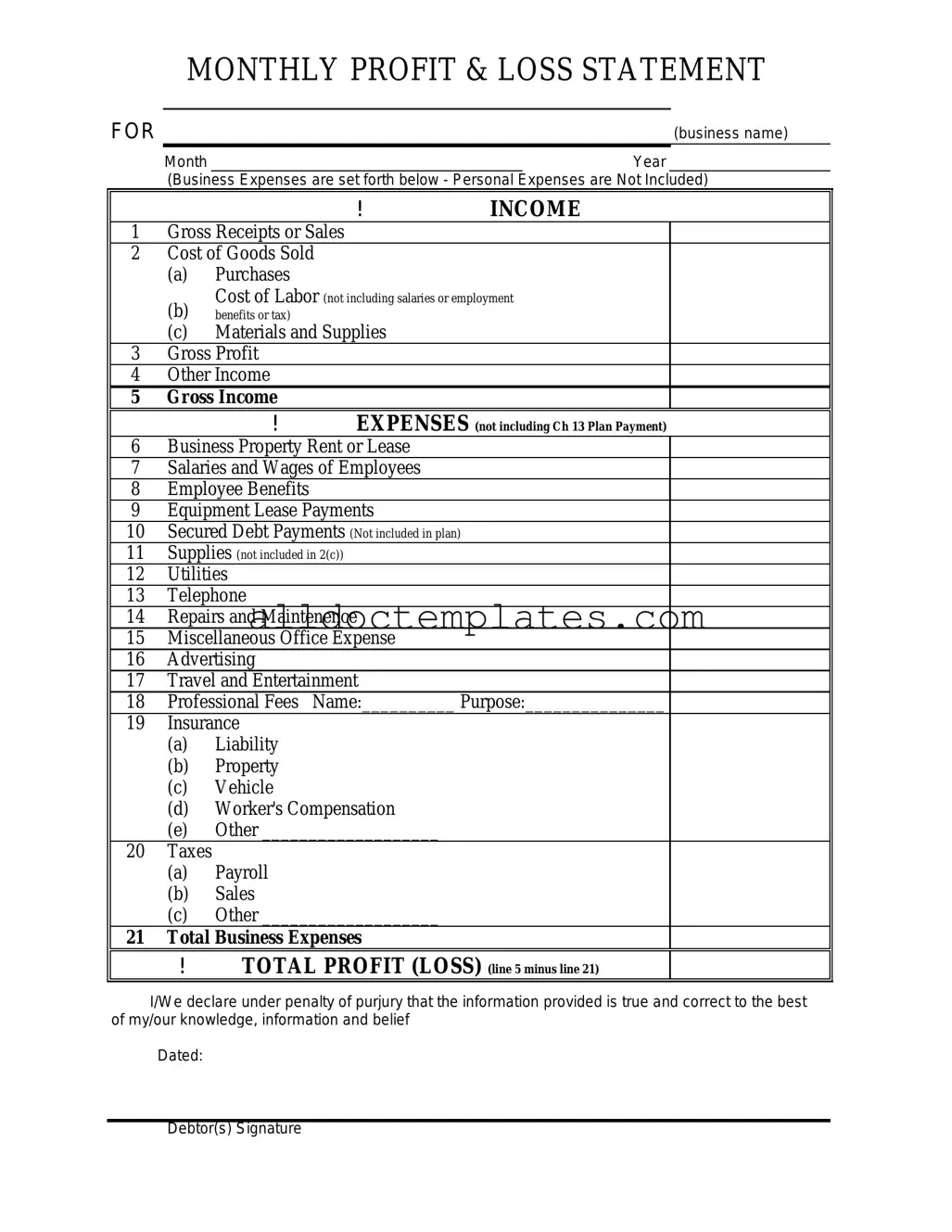 Fill in a Valid Profit And Loss Form