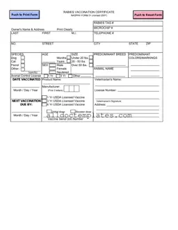 Fill in a Valid Rabies Certificate Form