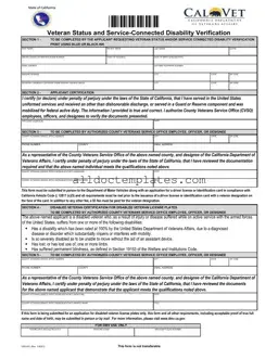 Fill in a Valid Vsd 001 Form